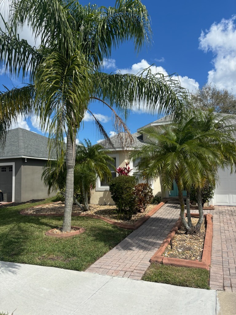 Front beds mulched and edged in brick under two palms, beside a paver walkway