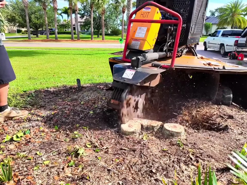 Stump grinder throwing chips as it cuts a stump down below grade